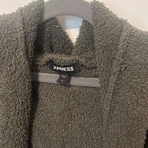 Express Forest Green Plush Sweater